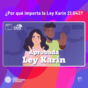 ley-karin2-300x300 Unidas y organizadas para no retorceder: los desafíos de la secretaría de Género CUT-Talca