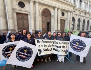 asenf-300x231 Organizaciones de Trabajadores/as de la salud se movilizan contra los recortes y a favor de la Salud Pública